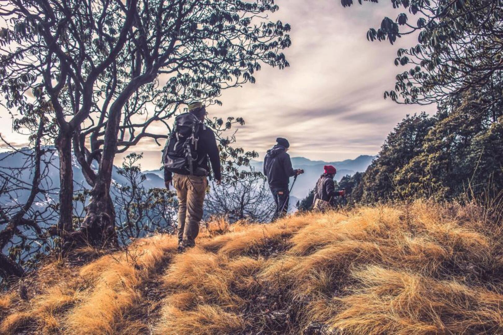 Hikers on Poon Hill Trail
